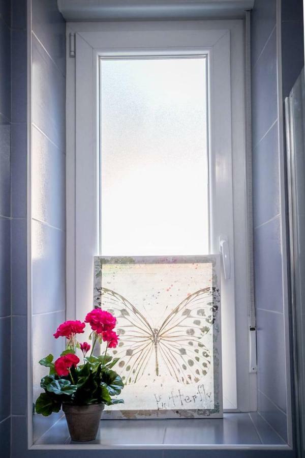 Apartament Apartman Vidi Rijeka Zewnętrze zdjęcie